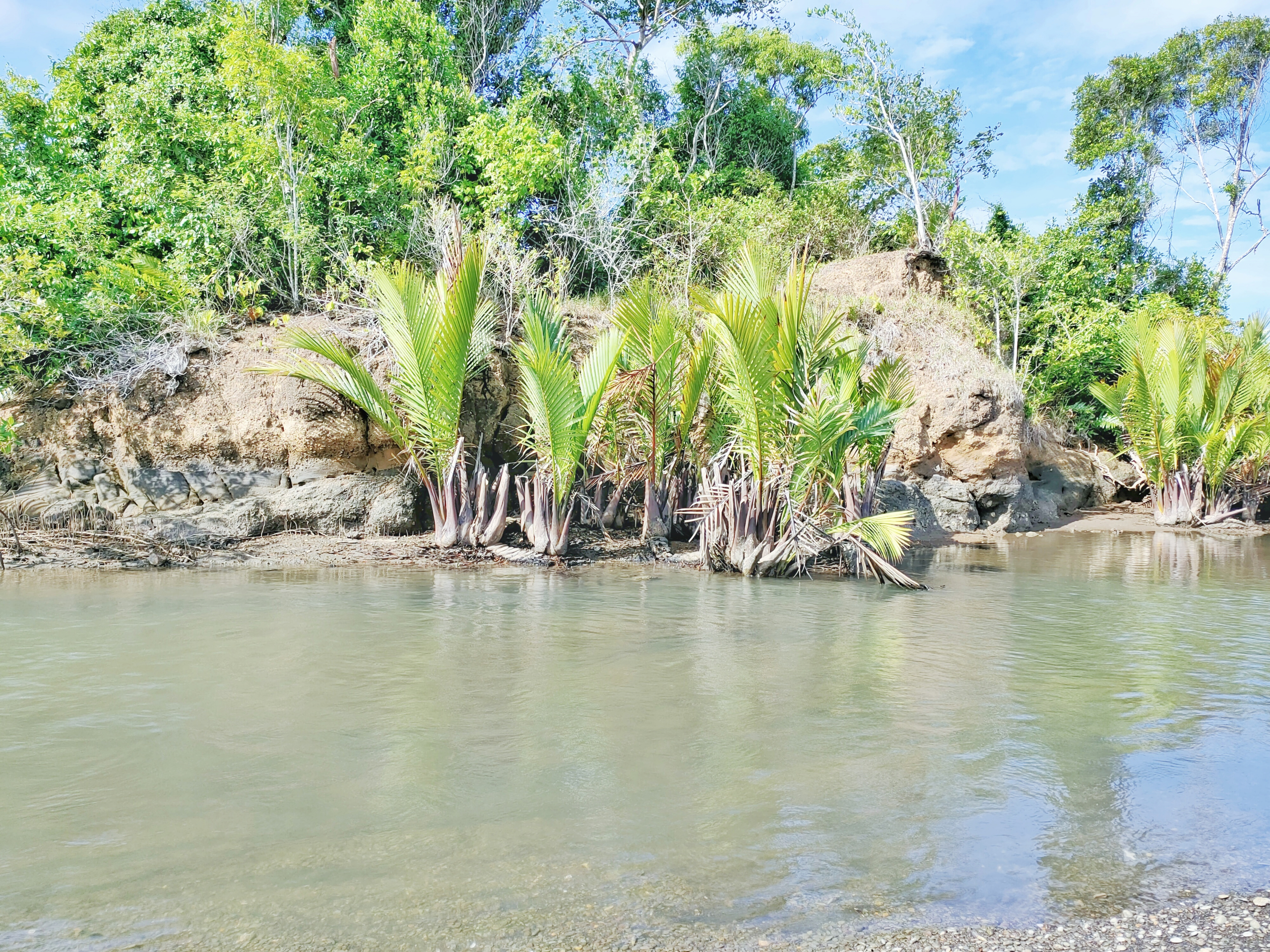 Pulau Dondang