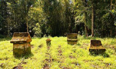 Nimawanua Kinaskas (Foto: Rikson Karundeng)