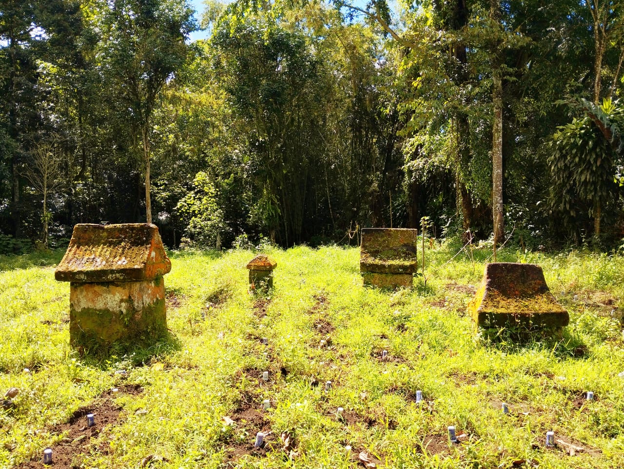 Nimawanua Kinaskas (Foto: Rikson Karundeng)